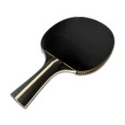 Ping pong szett, Salta - Pro